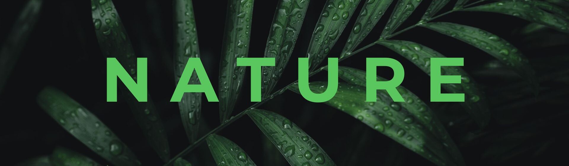 Nature Site slideshow