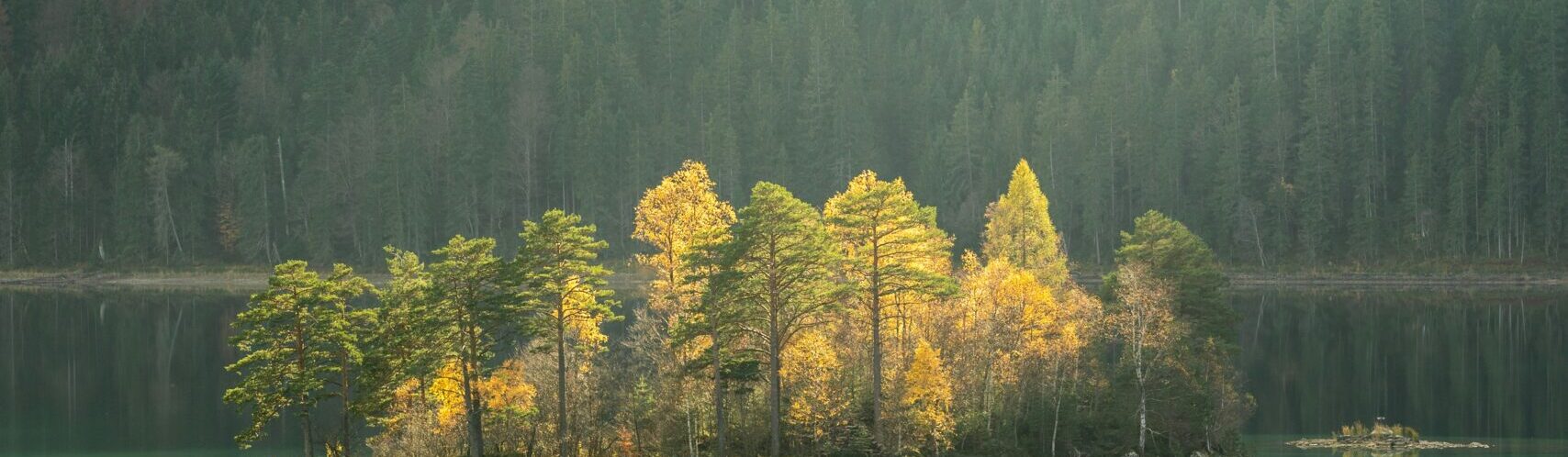 Nature Site slideshow